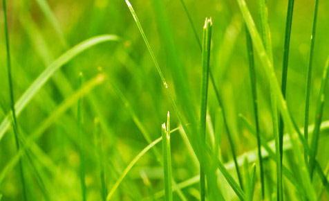 DDOS在线攻击平台